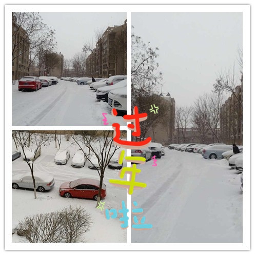 小区的雪景.jpg