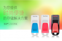 第四档奖品-闪迪U盘（双11深夜场23：00）